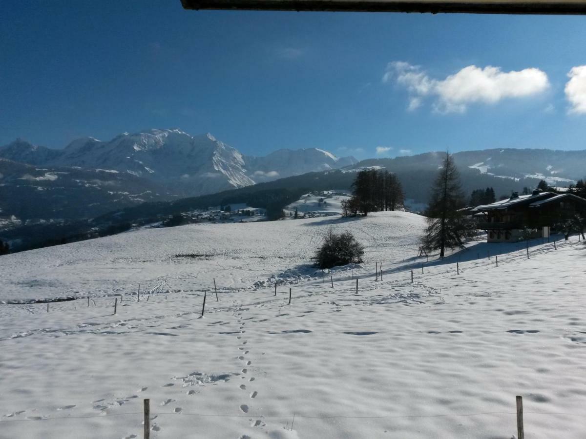 Rez De Chaussee Tres Calme Vue Mont-Blanc Combloux Dış mekan fotoğraf