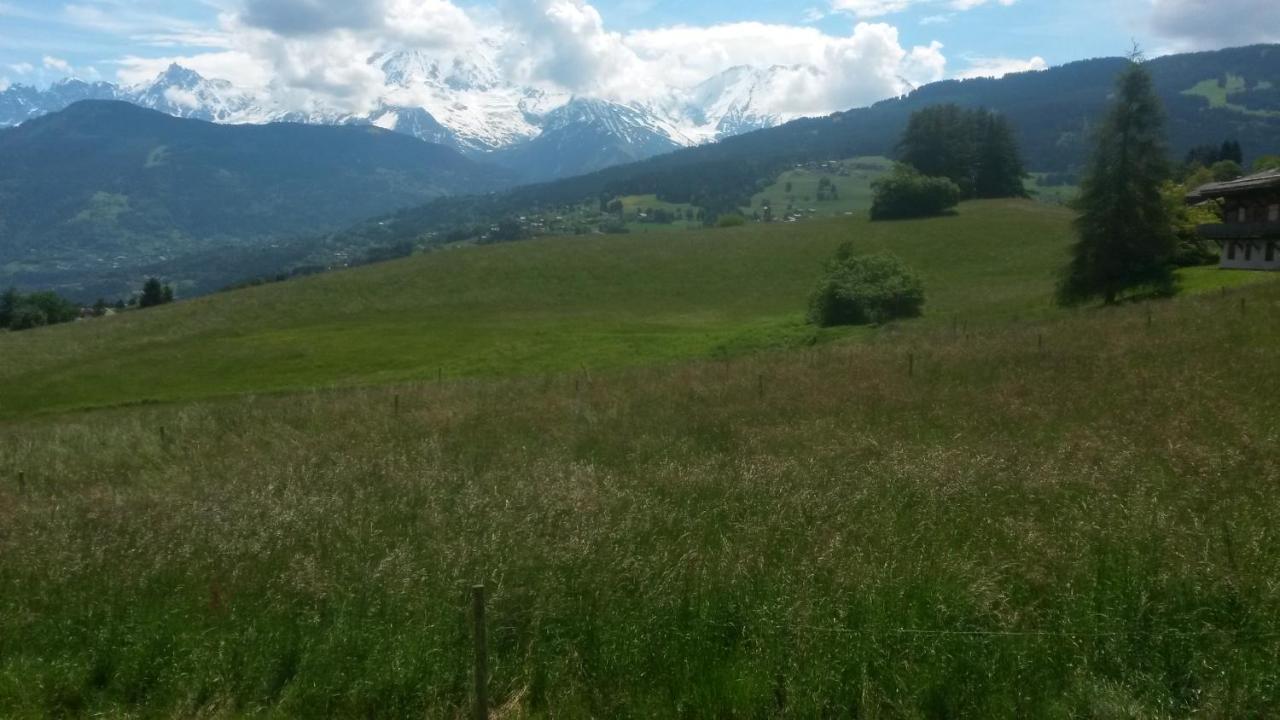 Rez De Chaussee Tres Calme Vue Mont-Blanc Combloux Oda fotoğraf